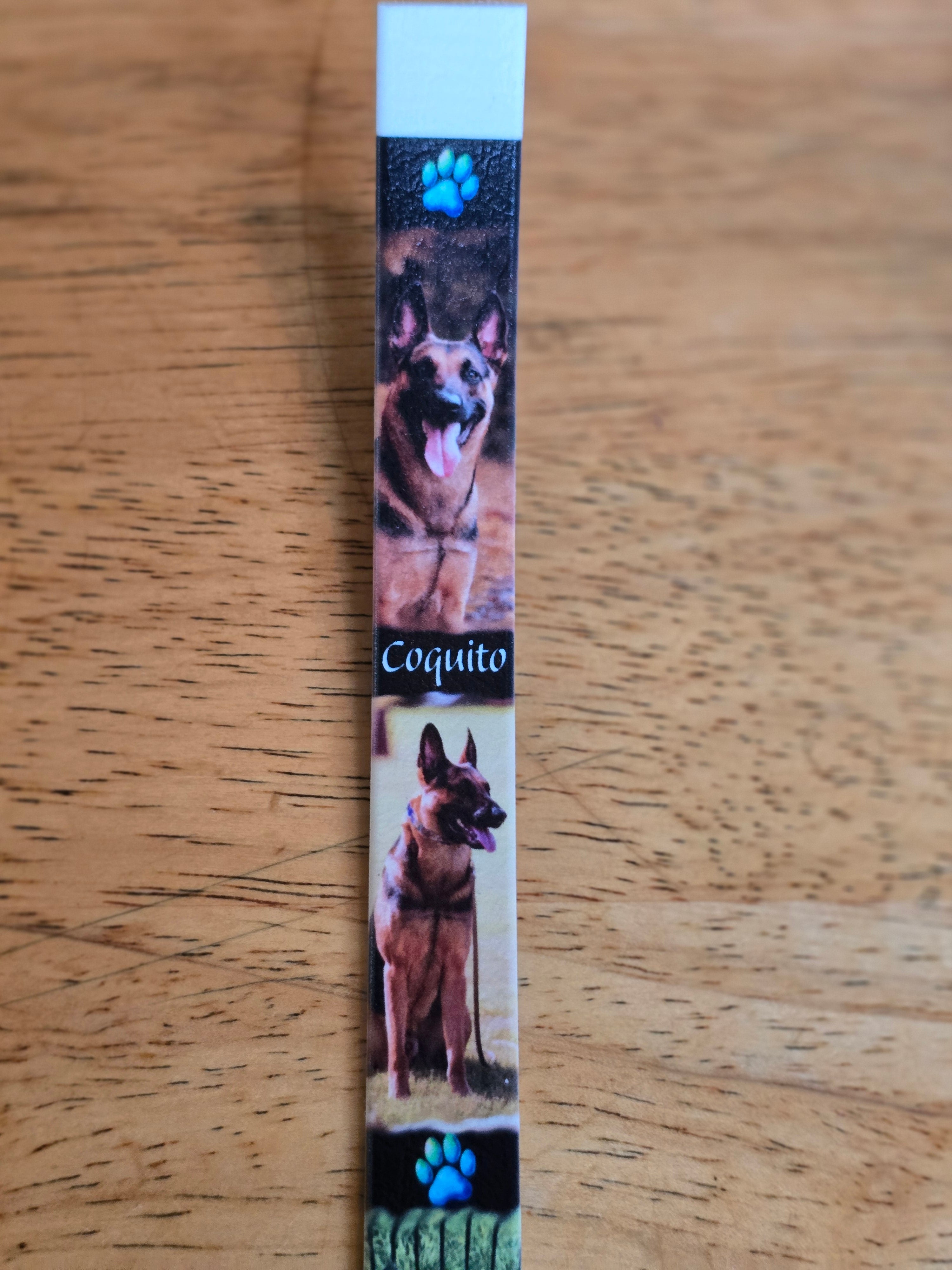 Custom BioThane® Grooming Loop for Missy