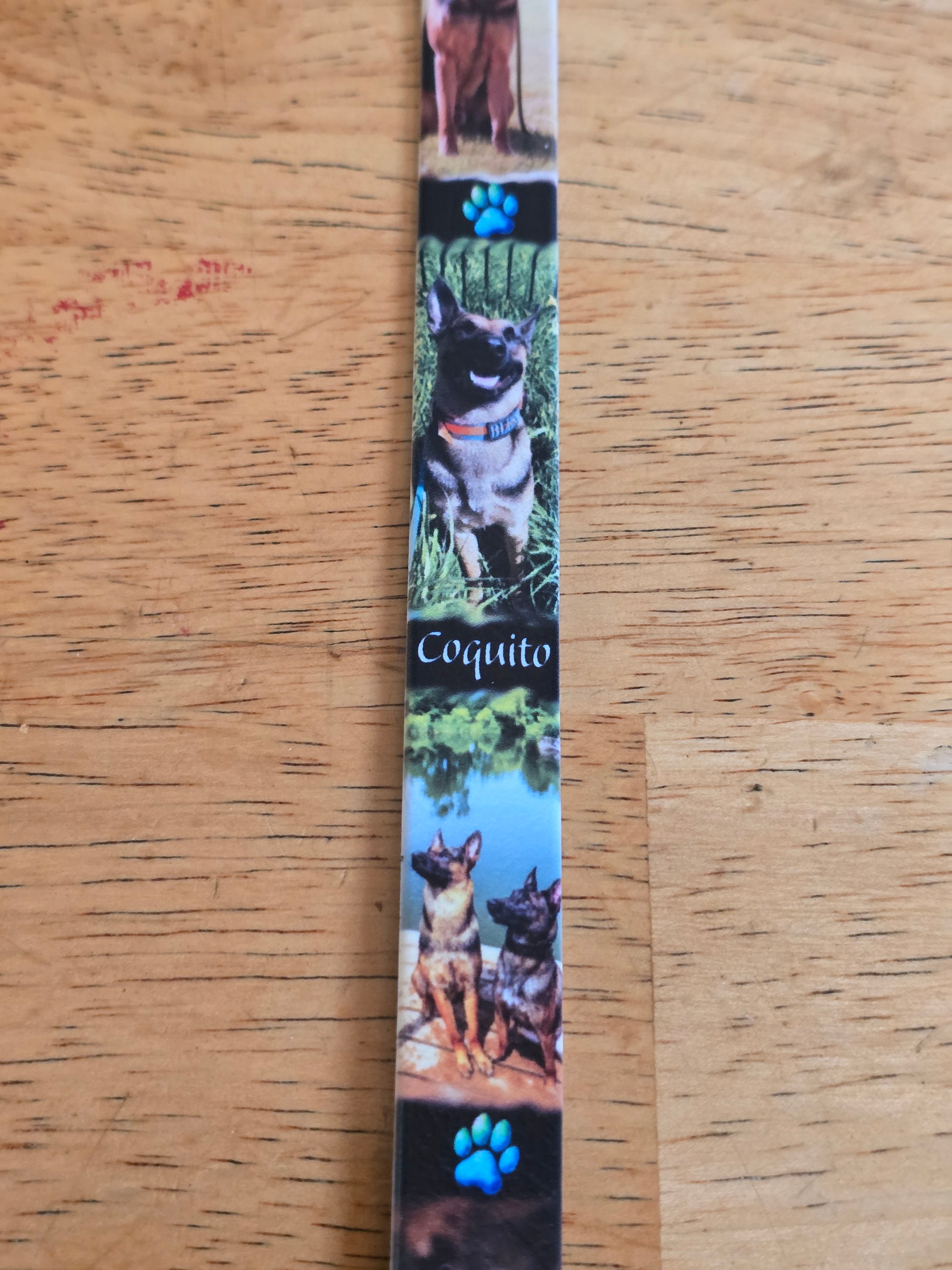 Custom BioThane® Grooming Loop for Missy