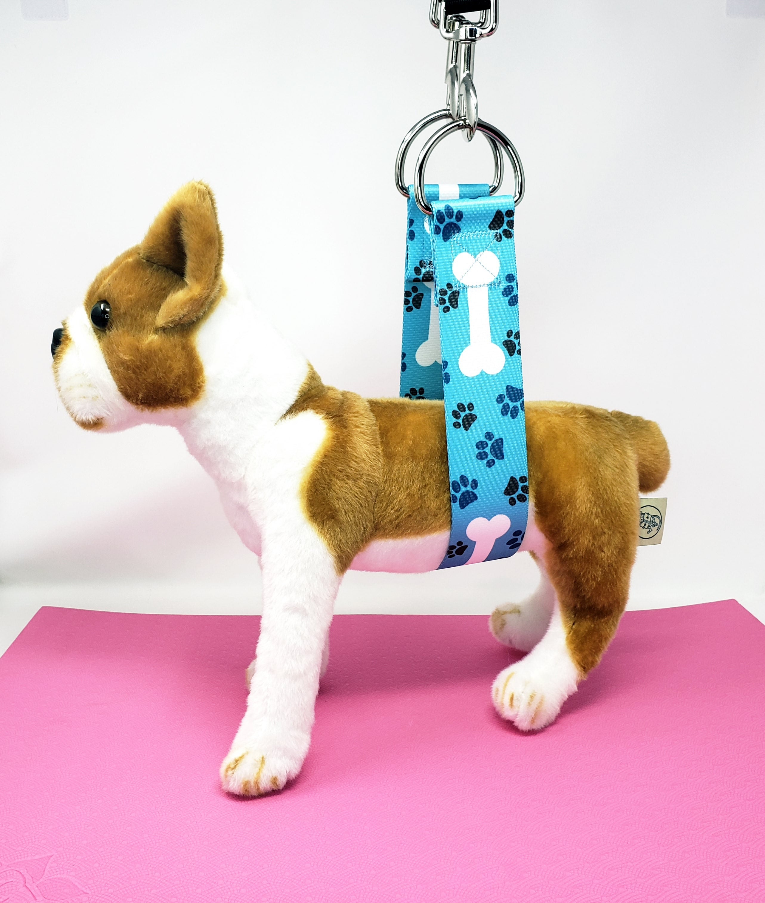 Blue-Violet Belly Support Strap