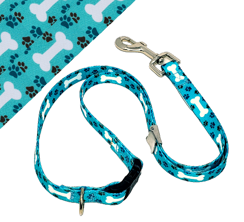 Oh My Dog-Blue Grooming Loop