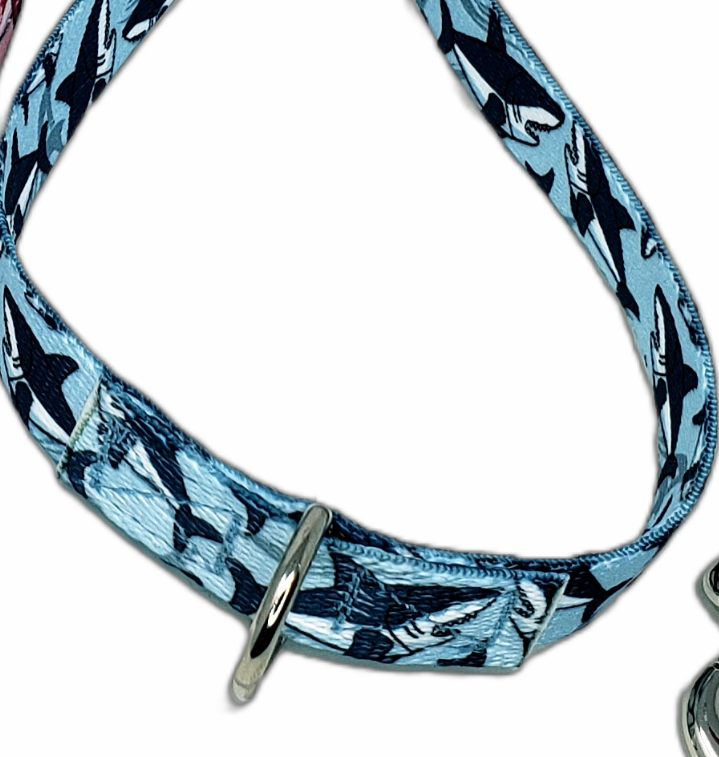 Blue Sharks Grooming Loop