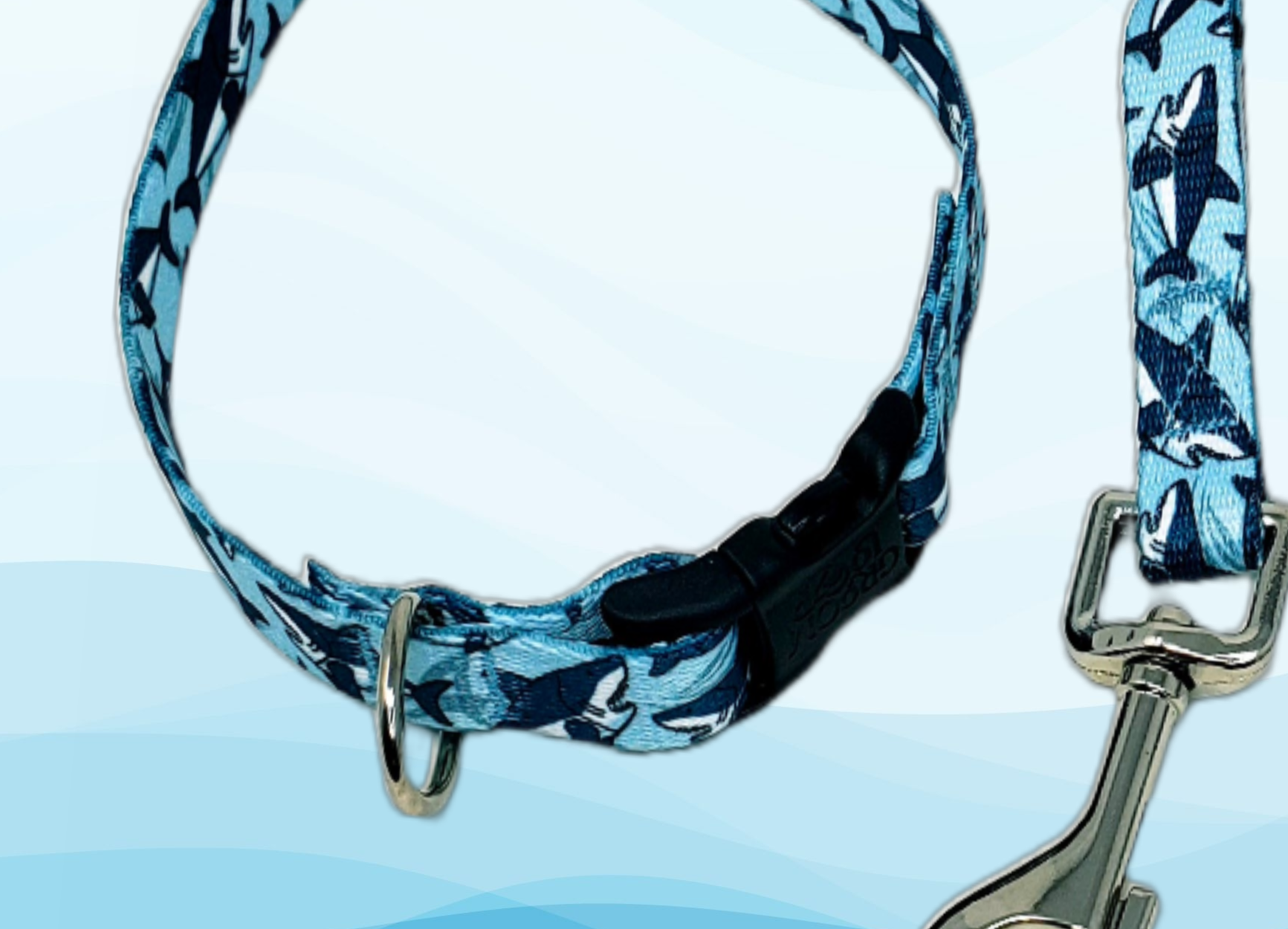 Blue Sharks Grooming Loop