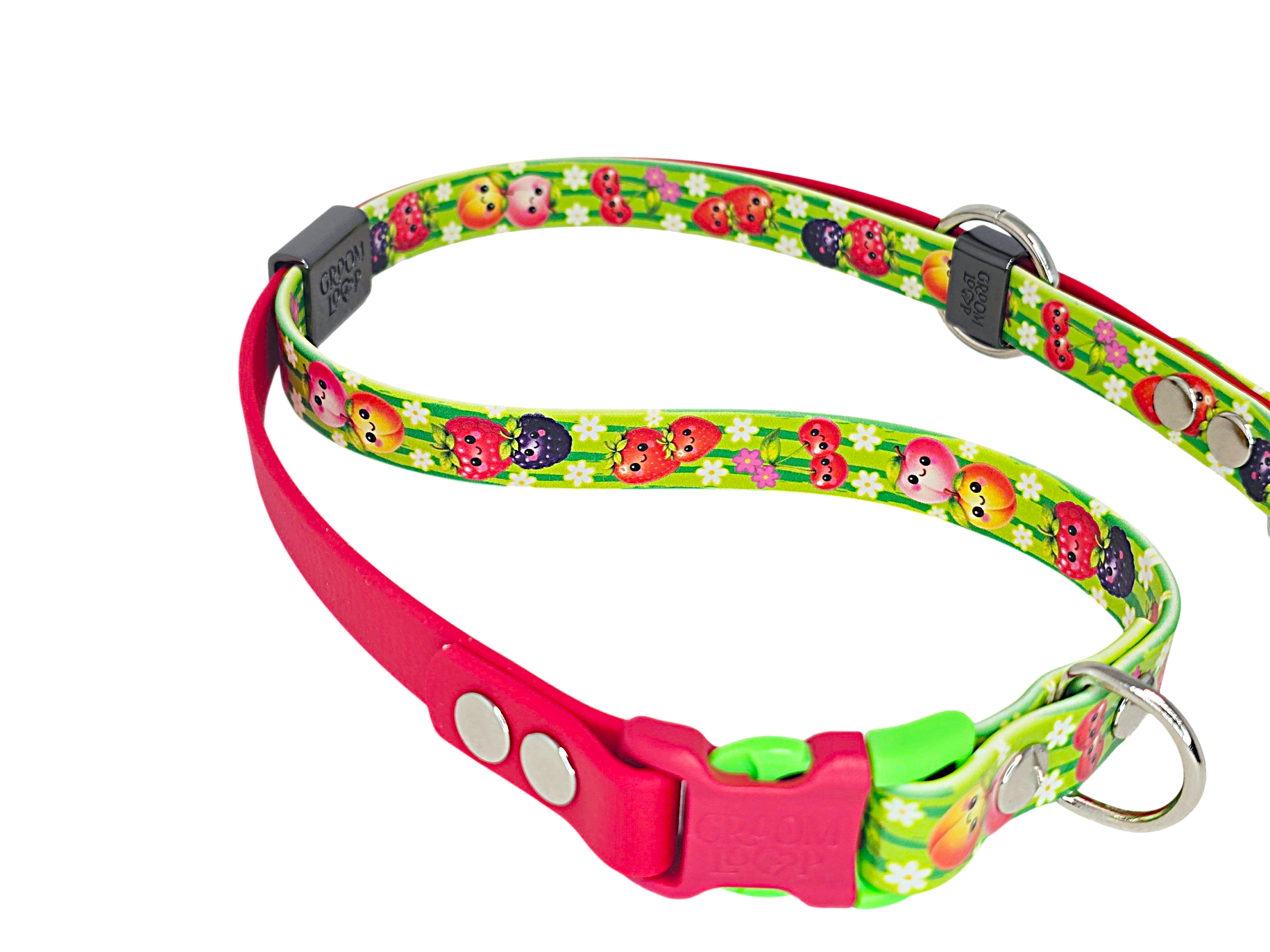 Cute Fruits BioThane® 5/8" Grooming Loop