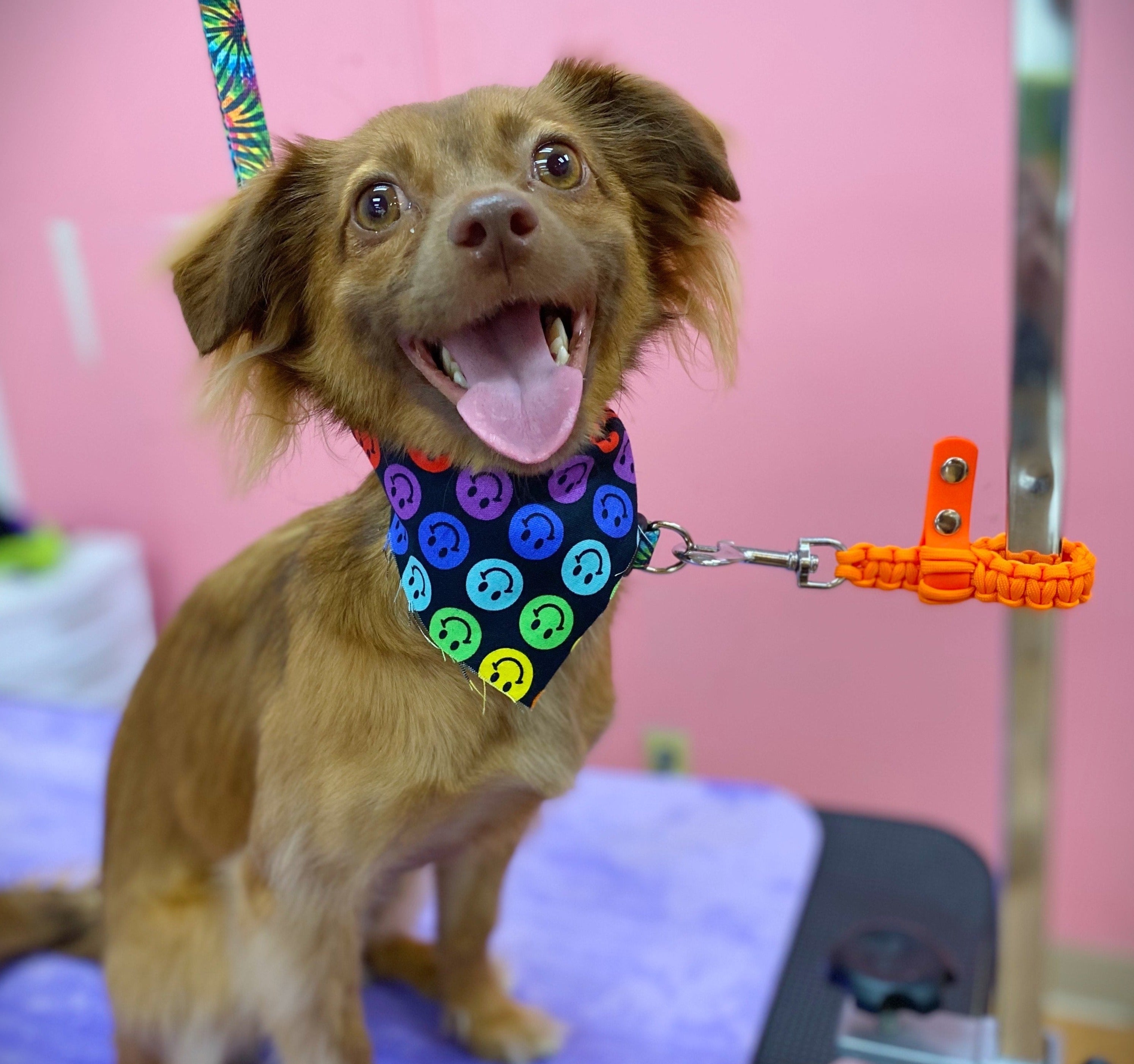 Paracord Pole-Extender Strap