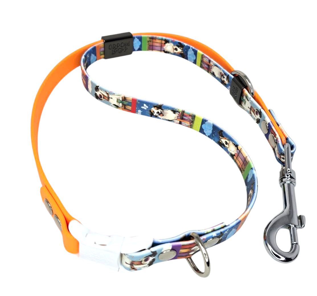 Neighborhood Dogs BioThane® Grooming Loop