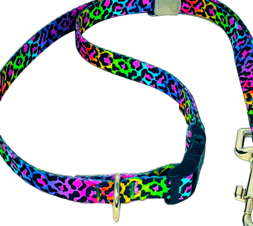 Neon Leopard Grooming Loop with Buckle
