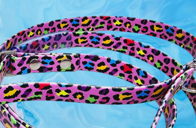 Slip-Lead Leash BioThane®, Waterproof