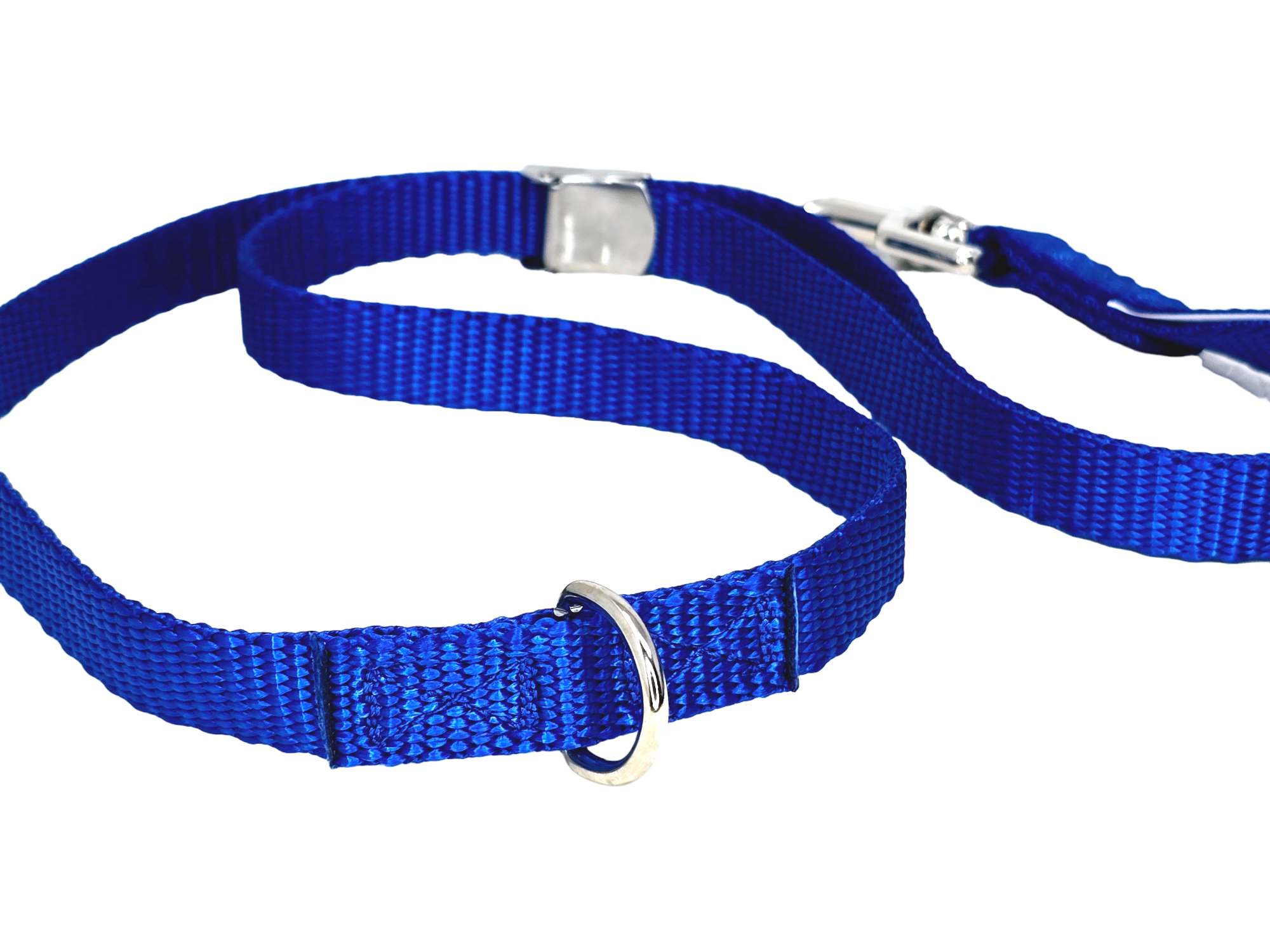 Blue Grooming Loop (No Buckle)